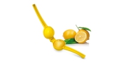 Odšťavňovač na citrony GrandCHEF Tescoma (428644)