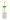 Láhev na smoothie myDRINK 300 ml
